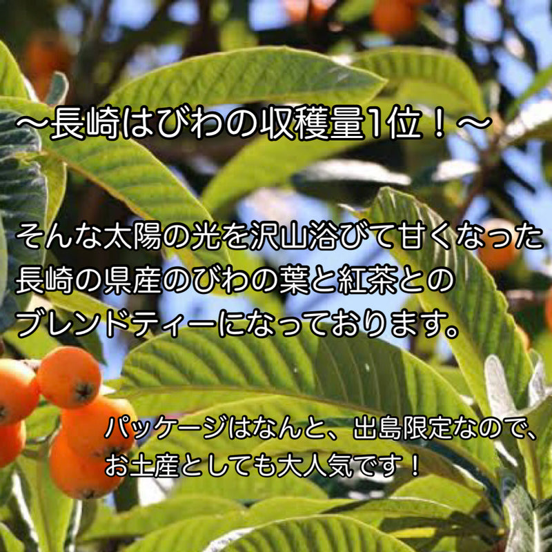 【長崎】スカルパ　びわ茶