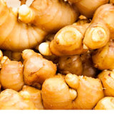 【長崎】松本農園　うまかdeしょうが