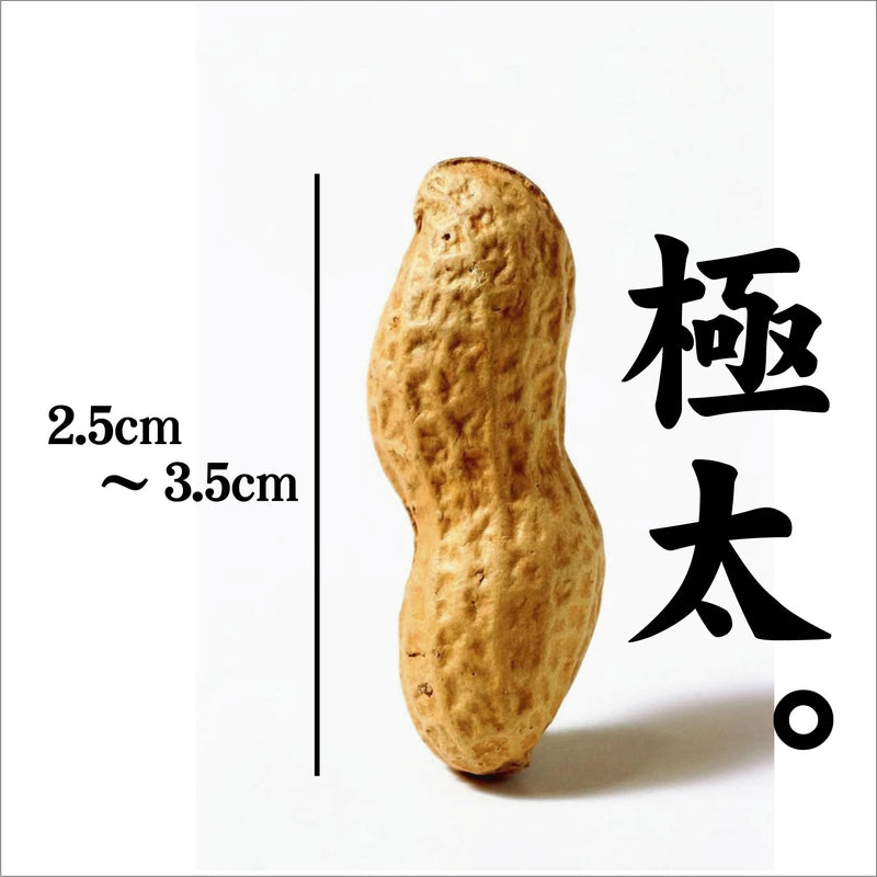 【長崎】酒井ファーム　茹でピーナッツ