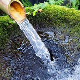 【長崎】松井老舗 黄金カステーラ 5カット