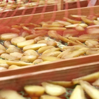 【長崎】島わんこ　カンコロむね肉巻き