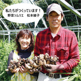 【長崎】松本農園　ジンジャーシロップ　うまかdeしょうが