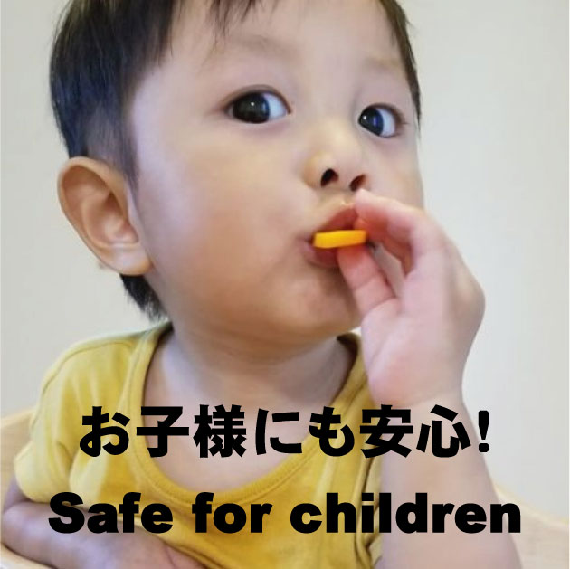 【福岡】ichimaru　ドライフルーツ　トーストバナナチップ