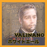 【長崎】海島　島原レベリオンビール