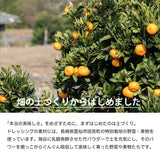 【長崎】べジドリーム　雲仙ナチュラルドレッシング