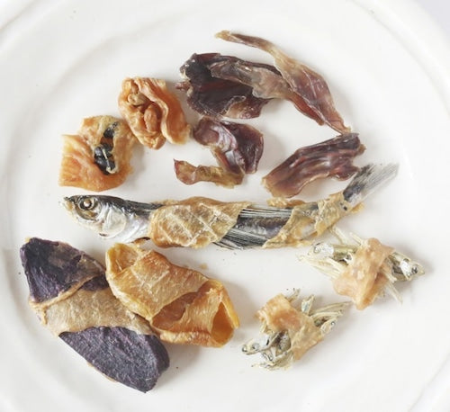 【長崎】島わんこ　SmallMix