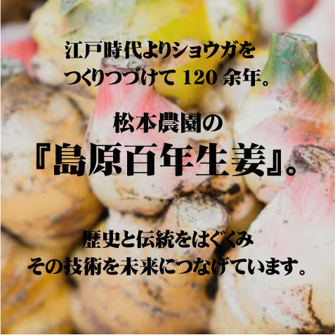 【長崎】松本農園　うまかdeしょうが