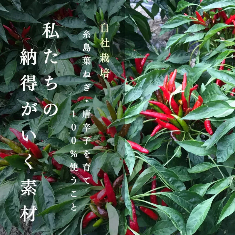 【福岡】弥冨農園　糸島ねぎ油・糸島ねぎラー油　47ｇ