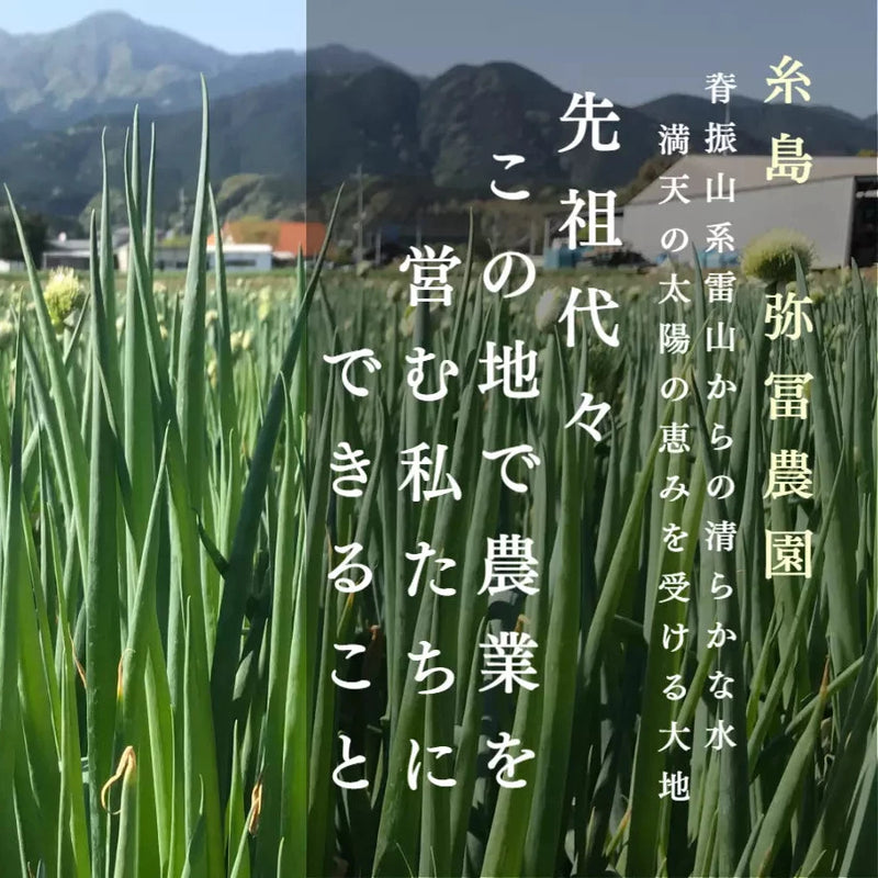 【福岡】弥冨農園　糸島ねぎ油・糸島ねぎラー油　47ｇ