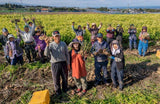 【長崎】松本農園　うまかdeしょうが